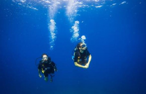 Blue Ocean Dive Diving Center