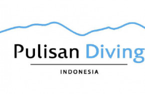 Pulisan Diving
